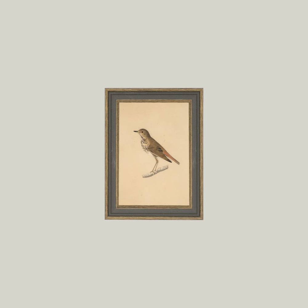 
                  
                    Bird Framed Antique Art
                  
                