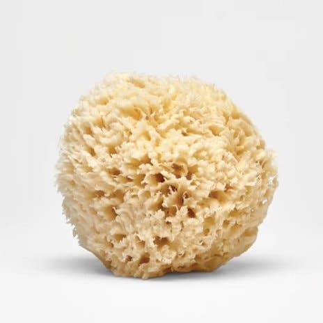 Large Natural Bath Sea Sponge